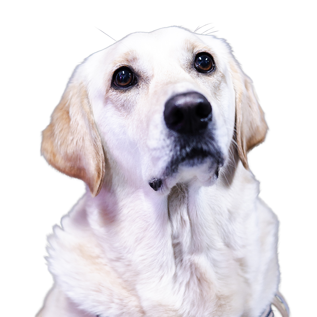 Employee_Leah