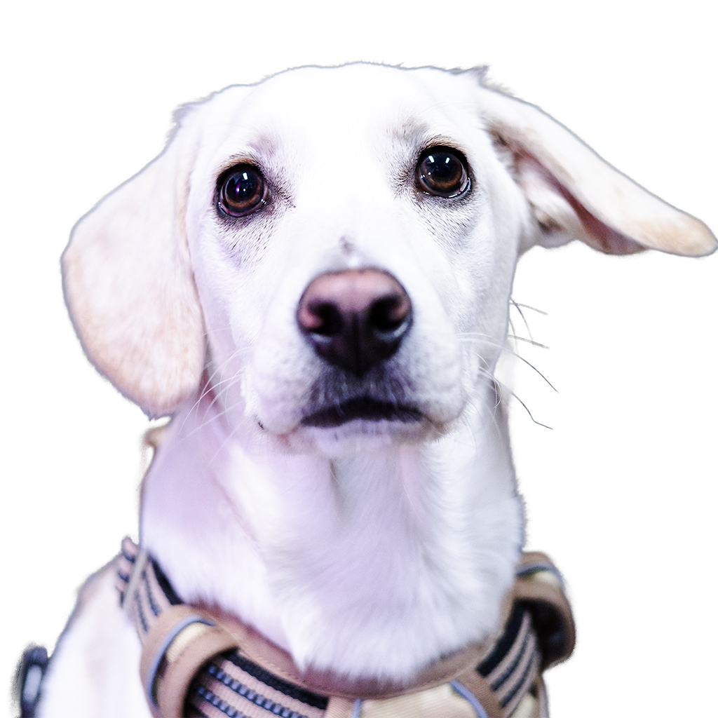 Employee_Sam